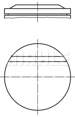 WILMINK GROUP Virzulis WG1200685